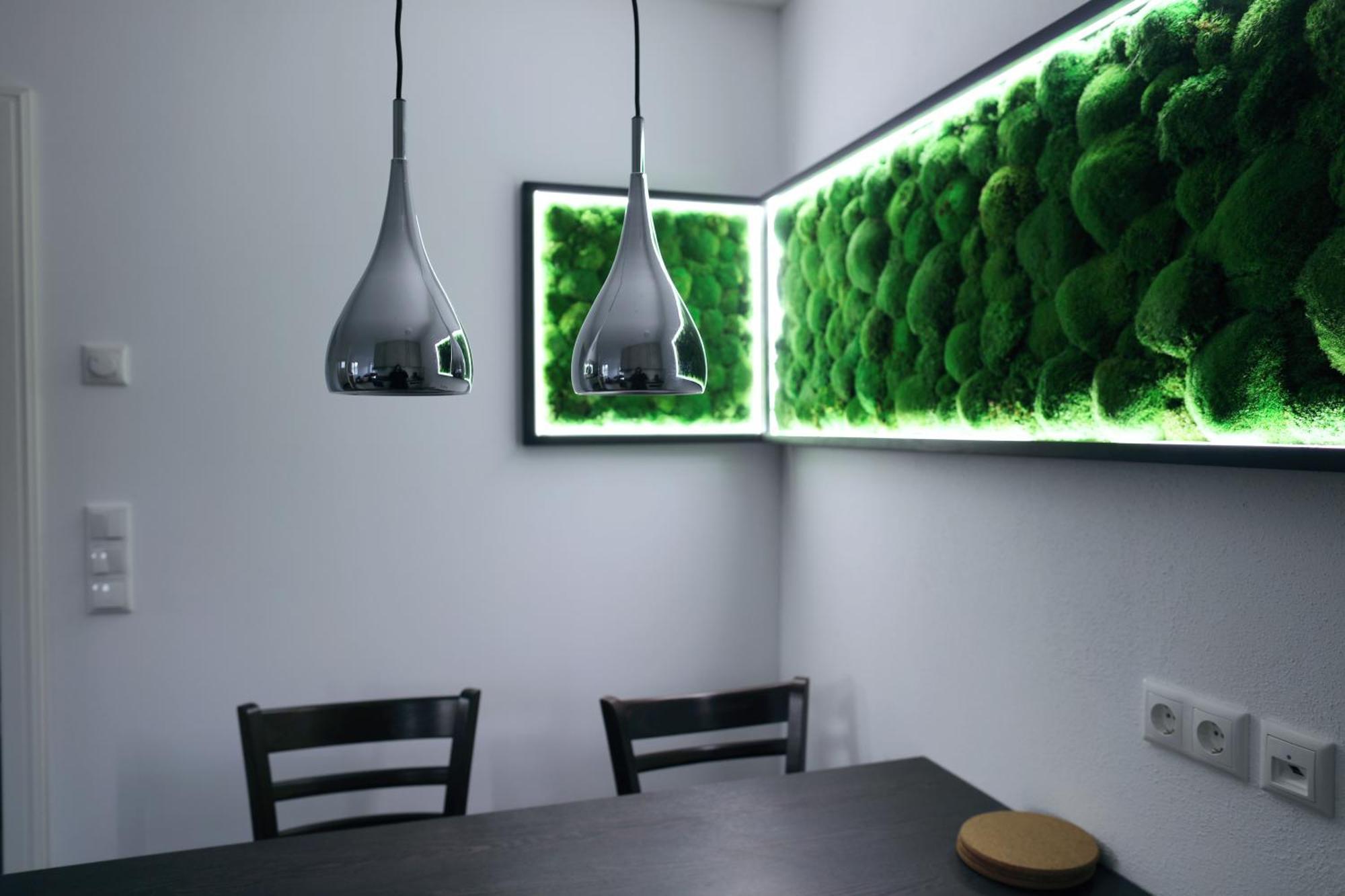 Komfort Ferienwohnung Altstadt Bad 벨지크 외부 사진